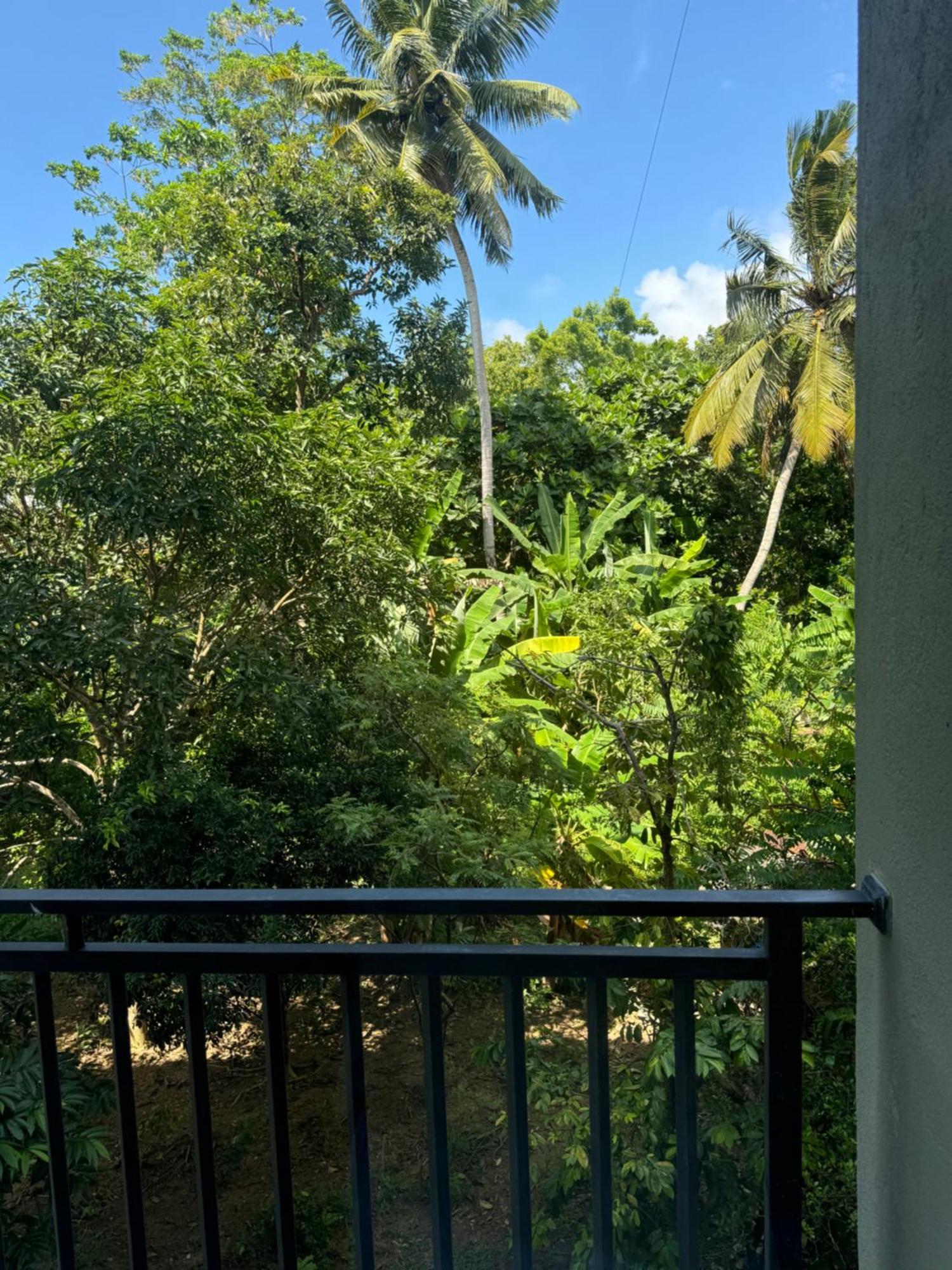 Sapiens Home - Weligama Bay Bagian luar foto